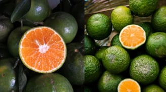 Cách chọn cam sành ngon, ruột vàng ươm mọng nước, ngọt thơm không khô