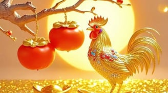 Sau 25/11: 3 tuổi gặp cơ hội vàng, bội thu tài lộc nhưng dễ mắc phải Thị phi