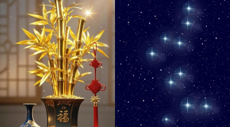 4 tuổi sinh ra có Văn Xương chiếu mệnh, học vấn thuận lợi công danh vang dội, càng già càng được nể trọng