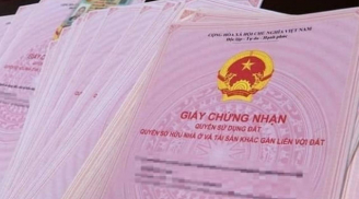 Hàng triệu người hưởng lợi từ Luật Đất đai 2025: Khám phá ngay những quyền lợi đặc biệt ai cũng cần biết