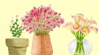 5 kiểu bình hoa trong nhà làm tổn hại phong thuỷ, gây hại gia chủ, tránh ngay kẻo lụn bại