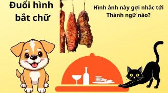 Thử tài IQ của bạn: Hình ảnh này nhắc tới thành ngữ nào? Người thông minh cần 5 giây, còn bạn?