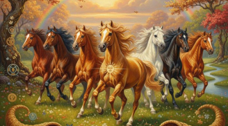 3 tuổi 'Lật Ngược' Số Phận từ tuổi 40: sau nhiều đau thương càng gan lì, bản lĩnh, san bằng khó khăn