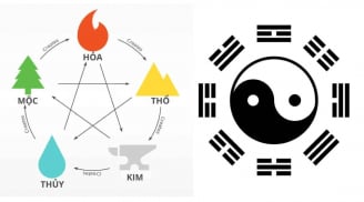 Tại sao những người có bát tự giống nhau, nhưng cuộc đời hoàn toàn khác biệt?