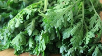 Rau cải cúc: thứ rau tuyệt vời của mùa đông nhưng cần lưu ý để giữ dinh dưỡng tốt nhất