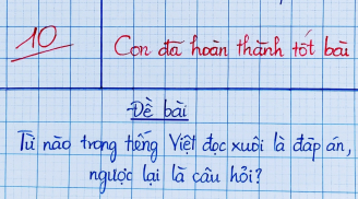 Câu đố tiếng Việt khiến bạn phải ngỡ ngàng: Đọc xuôi là đáp án, đọc ngược thành câu hỏi