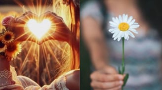 Cứng thì dễ bị bẻ gãy, mềm thì dễ bị chà đạp: Người biết Cương Nhu hài hòa mới thực sự Trí Tuệ