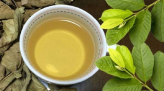 Thường xuyên uống nước lá ổi mỗi ngày, cơ thể sẽ có thay đổi gì?