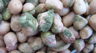 3 loại thực phẩm có độc tính cao sau khi nấm mốc