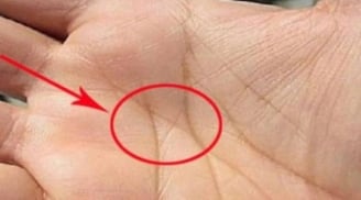 Người giàu sang dễ nhận biết: 3 dấu hiệu trên bàn tay tiết lộ tài lộc theo nhân tướng học