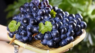 Trắc nghiệm chùm nho siêu chính xác: Phản ánh tính cách và mức độ may mắn của bạn