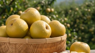 Loại quả thuộc top tốt cho sức khỏe, trồng nhiều ở Việt Nam: Giá chỉ từ 20.000đ/kg mà ngon khó cưỡng