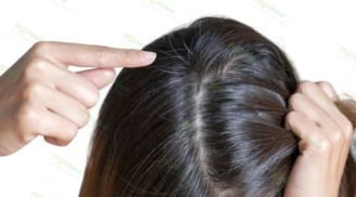 Mẹo chăm sóc tóc bạc cho phụ nữ trung niên tránh khô xơ, ngả vàng