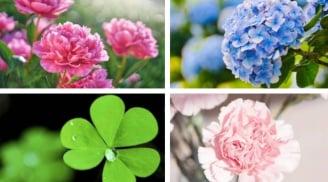 Quiz: Tháng này vũ trụ đang ưu ái bạn điều gì? Làm bài test để biết ngay!