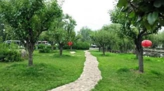 5 vị trí vàng trong nhà giúp 9/10 gia đình phát tài, hút tài lộc đỉnh cao