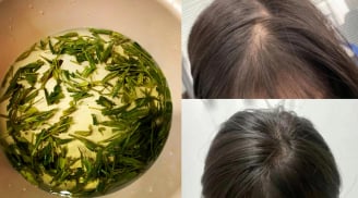 Cách gội đầu bằng nước trà xanh giúp tóc đen bóng, đua nhau mọc