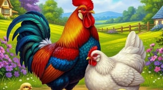 Từ 7–31/12: 3 tuổi Đổi Vận Sự Nghiệp, Cơ hội Thăng Tiến liên tục, Giàu sang tới tầm tay