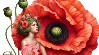  Thứ Hai, Ba (8-9/12): 2 cung hoàng đạo Giàu Năng Lượng, Mưa Vàng lời khen cho sự nỗ lực