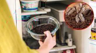 7 cách khử mùi hôi tủ lạnh bằng nguyên liệu tự nhiên, an toàn