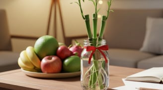 Loại cây “rẻ bèo” nhưng tài lộc cực mạnh: Đặt đúng 4 cành trên bàn học, thi cử – công danh lên vù vù