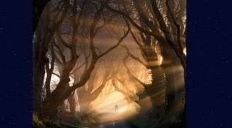  Quiz: Phản ứng đầu tiên của bạn khi nhìn bức ảnh này sẽ tiết lộ khả năng giàu có trong 10 năm tới