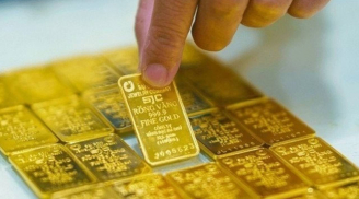 Giá vàng hôm nay 10/12: Vàng miếng và vàng nhẫn lao dốc mạnh, nhà đầu tư cần lưu ý