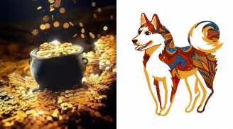 Tháng Chạp rực rỡ: 5 con giáp ‘thức dậy’ vận quý nhân, tiền – việc – danh đều tốt, Tết đến vàng đầy két