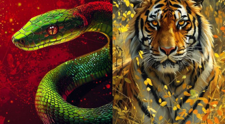 Thứ Năm, Sáu (11–12/12): 4 tuổi Trực Giác Nhạy bất thường, càng Tin Chính Mình càng tránh được Rủi Ro