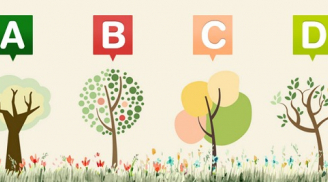 Trắc nghiệm phong thủy: Khám phá vận trình của bạn từ nay đến cuối năm 2025