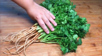 Cách bảo quản rau mùi tươi lâu, cả tháng vẫn xanh mướt, thơm ngon