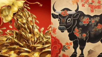 Cuối năm đổi vận: 4 con giáp đổi đời trong 20 ngày, càng làm càng giàu, tiền đổ về ào ào