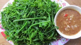 Rau dại Việt Nam được Trung Quốc tôn là “rau trường sinh”, kho báu xanh giúp bồi bổ sức khỏe