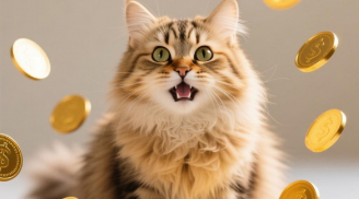 Sau 12/12, 4 tuổi được Gia Tiên nâng đỡ, Tiền về dồn dập, nhanh chóng thoát nghèo khó