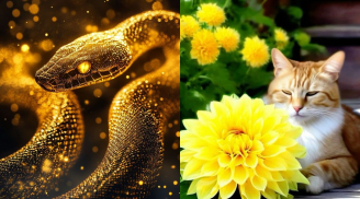 Thứ Bảy, Chủ Nhật (13–14/12): 3 tuổi biến khó thành Cơ Hội Vàng nhờ Bình Tĩnh, 1 tuổi dễ mất tiền vì cả tin