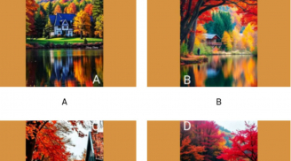 Trắc nghiệm tâm lý: Ai trong gia đình bạn sẽ sớm giàu có?