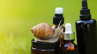 Vì sao tinh chất ốc sên ngày càng được ưu ái trong việc chăm sóc da?