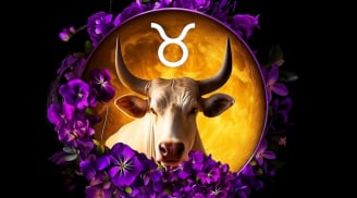 Cuối tuần 13–14/12 đổi vận: 3 cung hoàng đạo Thu Tiền Mỏi Tay, sang tuần mới tinh thần lên cao