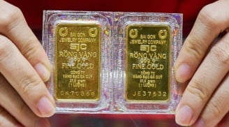 Giá vàng hôm nay 12/12: Vàng miếng giảm, vàng nhẫn bật tăng mạnh - Cập nhật thị trường mới nhất