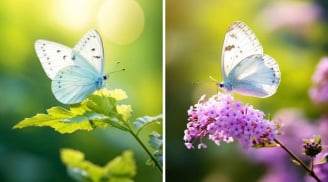 Ngày sinh Âm lịch của người giàu bạn bè: Lúc nào cũng có đồng đội đồng hành, bạn bè là quý nhân