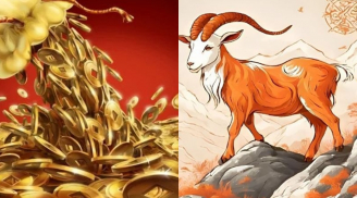 Tuần sau (15-21/12): 5 con giáp hết hạn xui, thành ông hoàng thịnh vượng cuối năm, tiền đếm mỏi tay