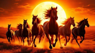 Tháng 11 âm Thần Tài mở kho: 3 tuổi “Sờ Đâu Trúng Đó”, tiền lên vùn vụt, 1 tuổi lỡ lời mất lộc