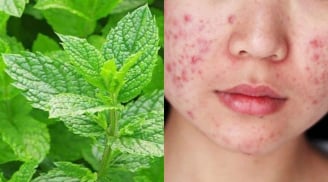 5 mẹo làm đẹp da và tóc với bạc hà