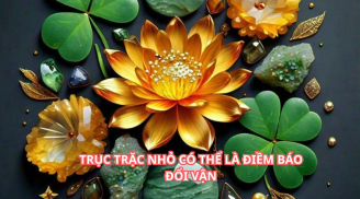 Trước Tết dương lịch, 3 tuổi hay gặp Trục Trặc Nhỏ lại là điềm báo đổi vận, oán thán dễ mất lộc