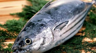 3 loại cá được cảnh báo dễ là “ổ ung thư”: Ngon đến mấy cũng nên tránh, đặc biệt loại thứ 2