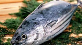 3 loại cá bị cảnh báo dễ trở thành “ổ ung thư”, ngon mấy cũng nên tránh xa