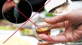 4 bộ phận của cá cực độc: Đặc biệt loại thứ nhất nhiều người vẫn tin dùng