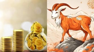 4 con giáp đỏ 13 ngày cuối tháng 12: Càng làm càng ra tiền, vận may chạm đỉnh năm 2026