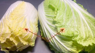 Nên mua cải thảo lá vàng hay cải thảo lá xanh?