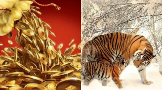 Thiên thời ngày 19/12: 3 con giáp lặng lẽ tích lũy rồi bất ngờ bứt tốc cuối năm giàu sụ
