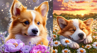 Từ nay tới 31/12: 3 tuổi biết Lùi Đúng Lúc, Tài Lộc Càng Lớn, càng cố tiến càng thua